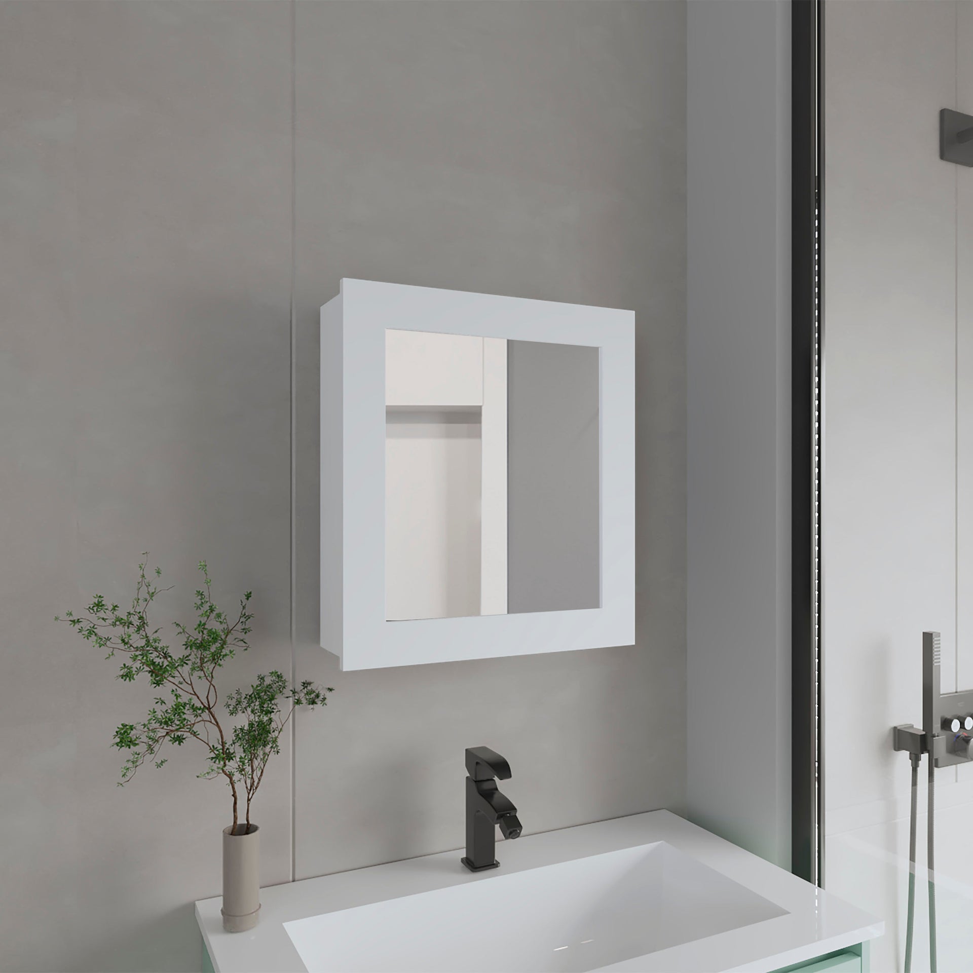 Asheboro Medicine Cabinet with 2 Shelves, 1 Door, and 1 Mirror