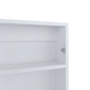 Kiana Medicine Cabinet