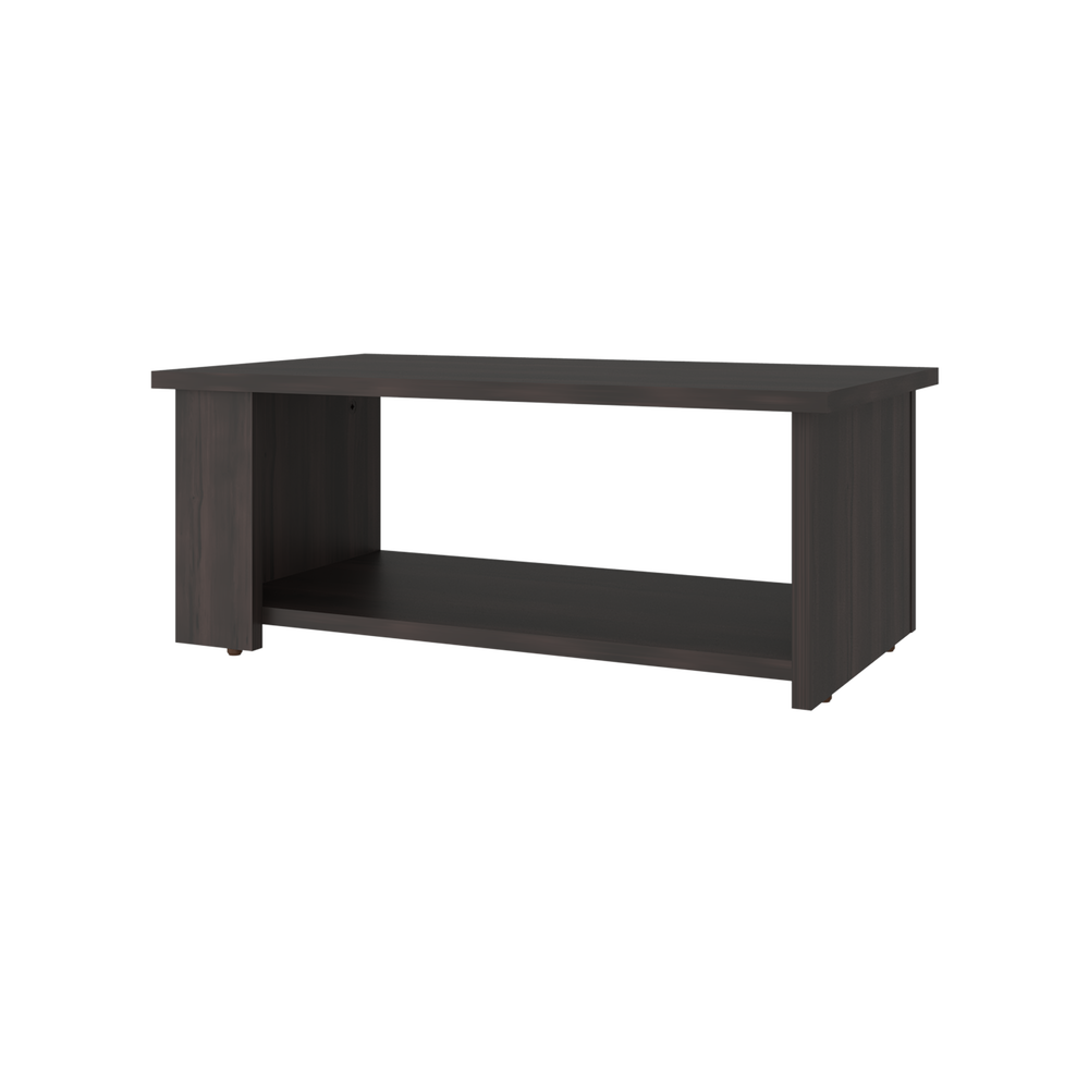 24-Inch Carson Coffee Table with Lower Storage Ledge – Open Lower Storage Shelf