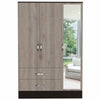 Depot Light Gray Mirrored Armoire 