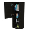 Depot Black Wengue Medicine Cabinet 