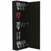 Depot Black Mirrored Shoe Rack